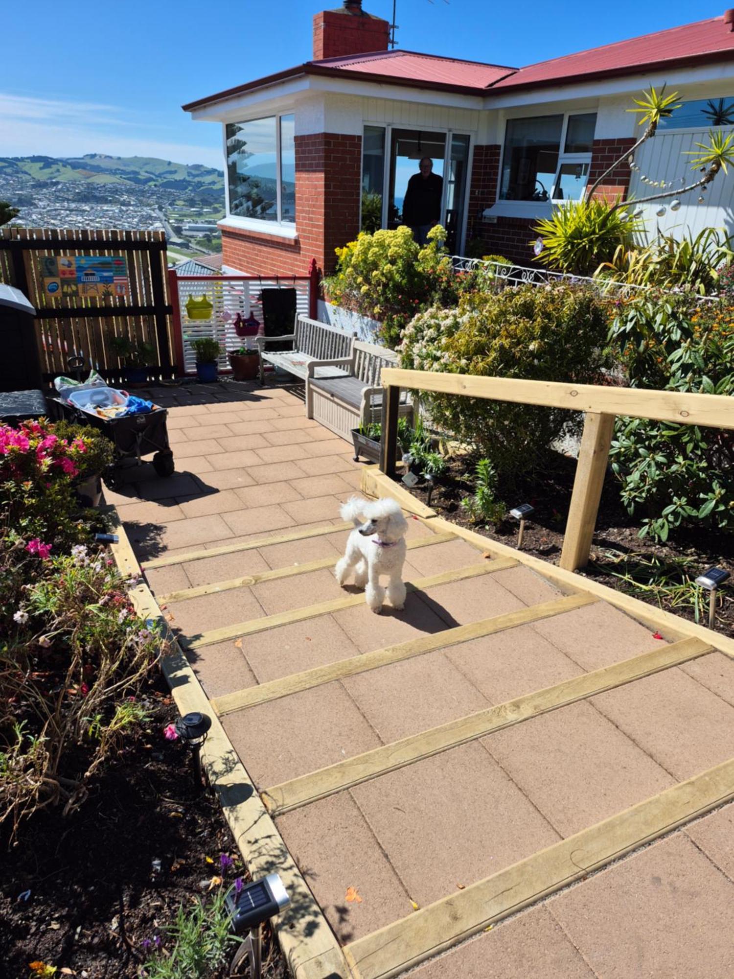Rosemount B&B By The Sea St Clair Dunedin Zewnętrze zdjęcie