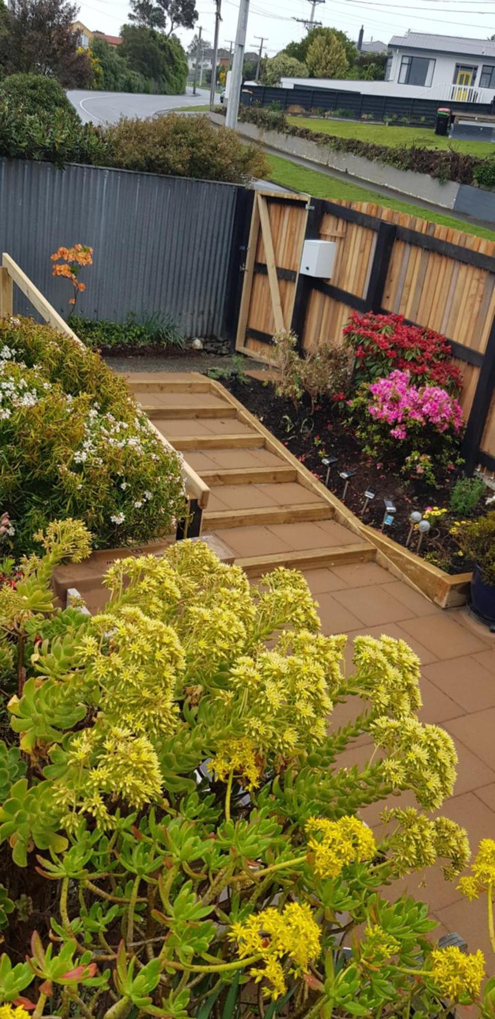 Rosemount B&B By The Sea St Clair Dunedin Zewnętrze zdjęcie