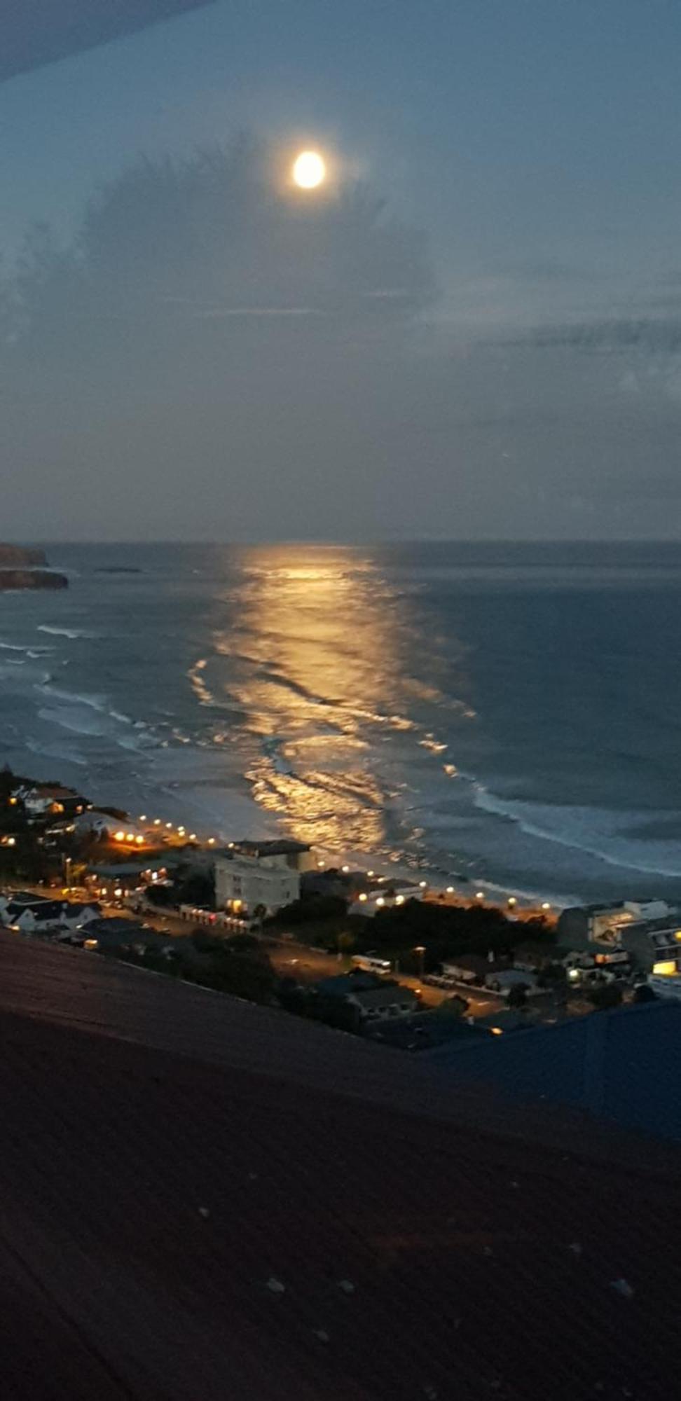 Rosemount B&B By The Sea St Clair Dunedin Zewnętrze zdjęcie