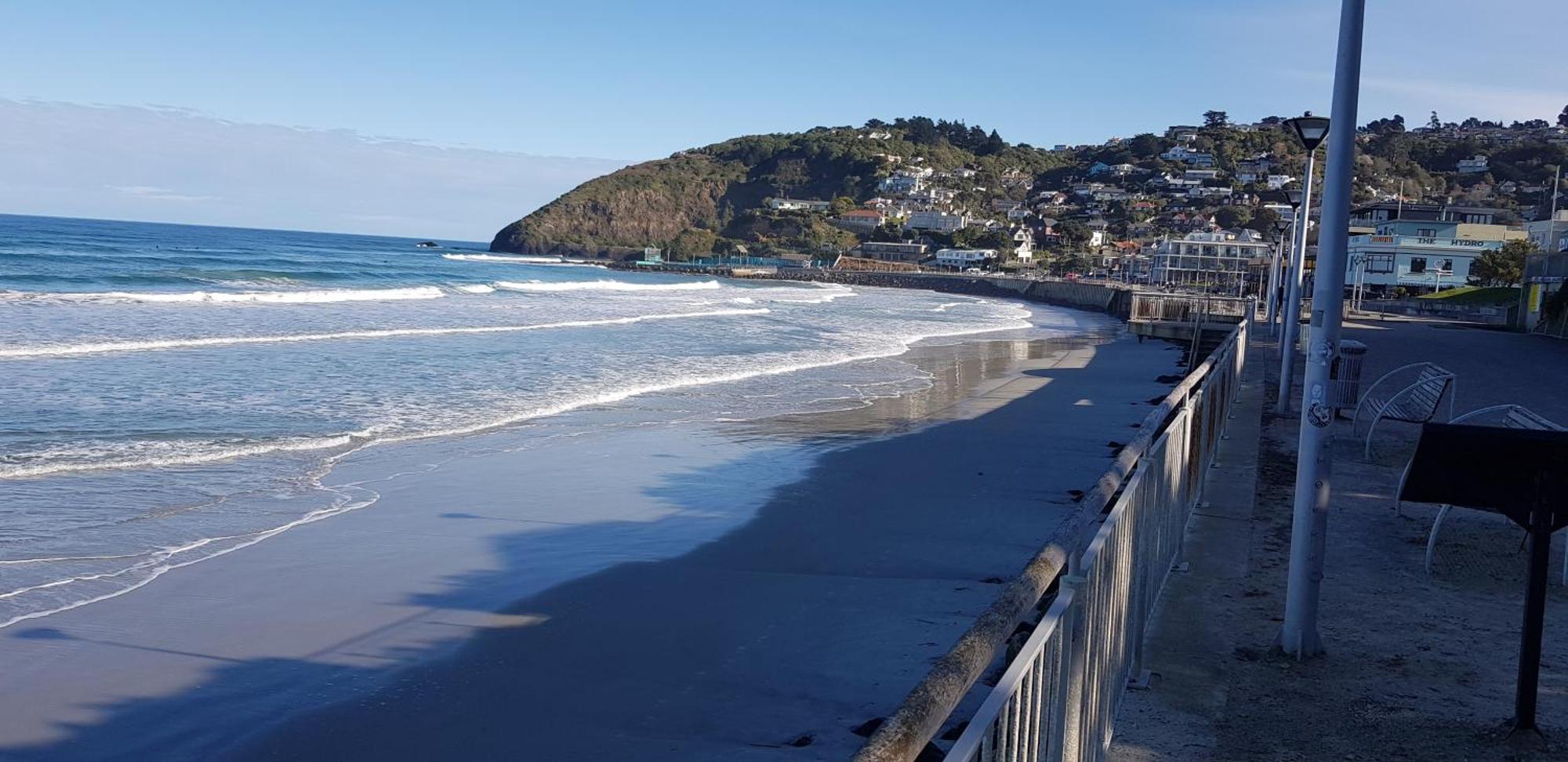 Rosemount B&B By The Sea St Clair Dunedin Zewnętrze zdjęcie