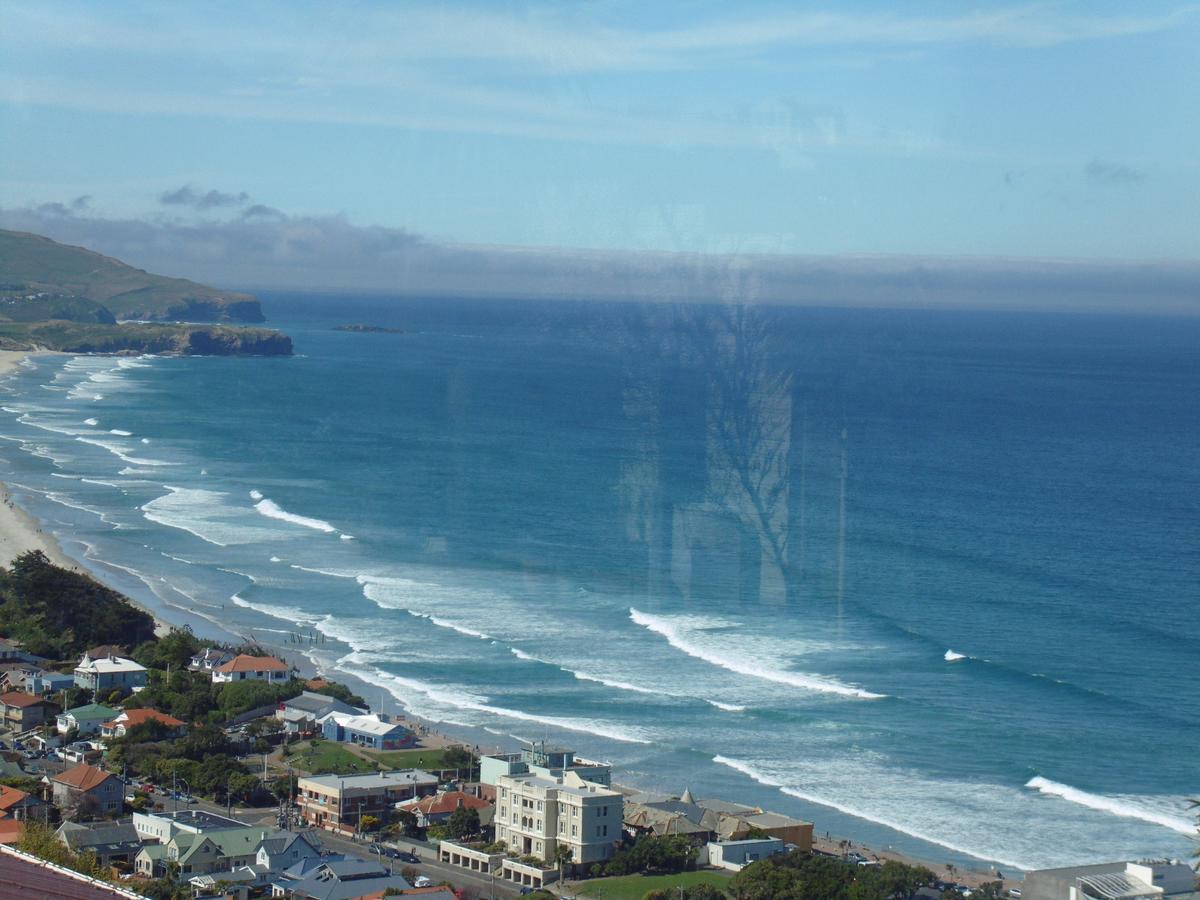Rosemount B&B By The Sea St Clair Dunedin Zewnętrze zdjęcie